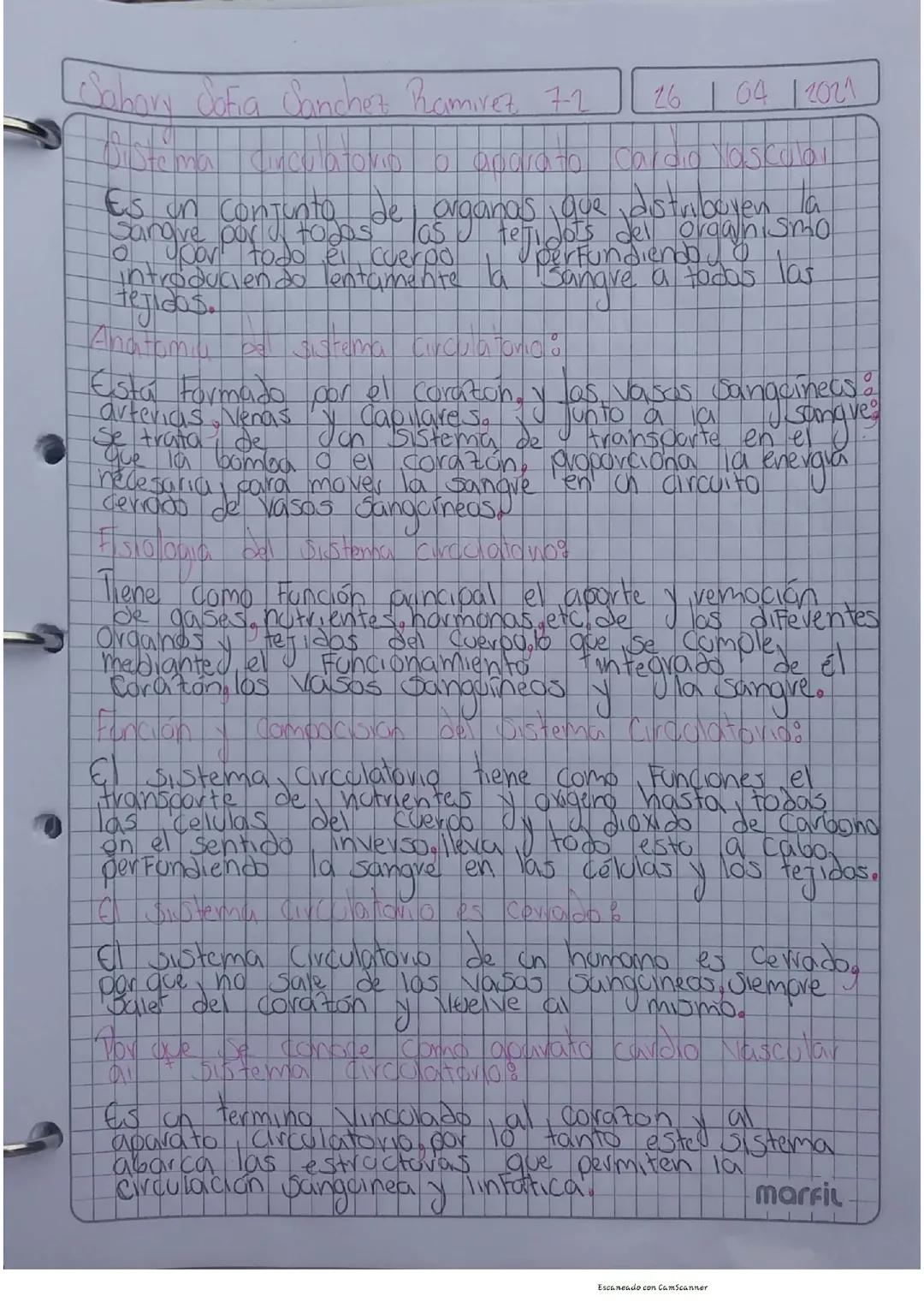 El sistema circulatorio