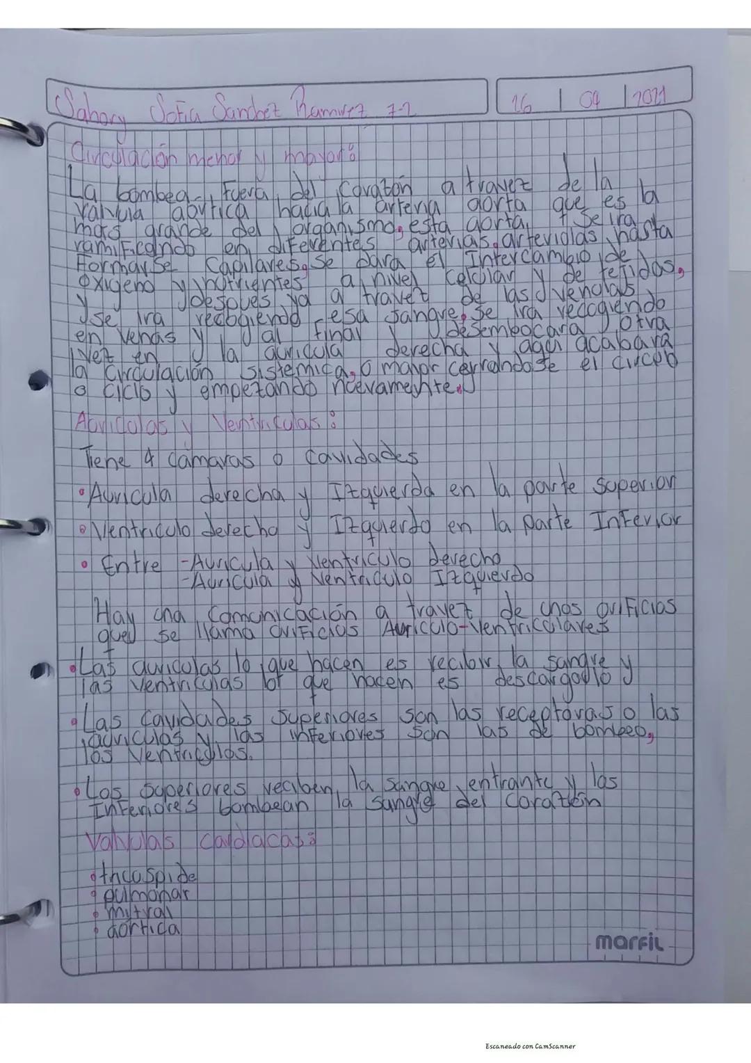 Sabary Sofia Sanchez Ramirez 72
26
04 12021
Stema Circulatorio o aparato, Cardia Mascolar
Es un conjunto de organos que distriboven la
las
S