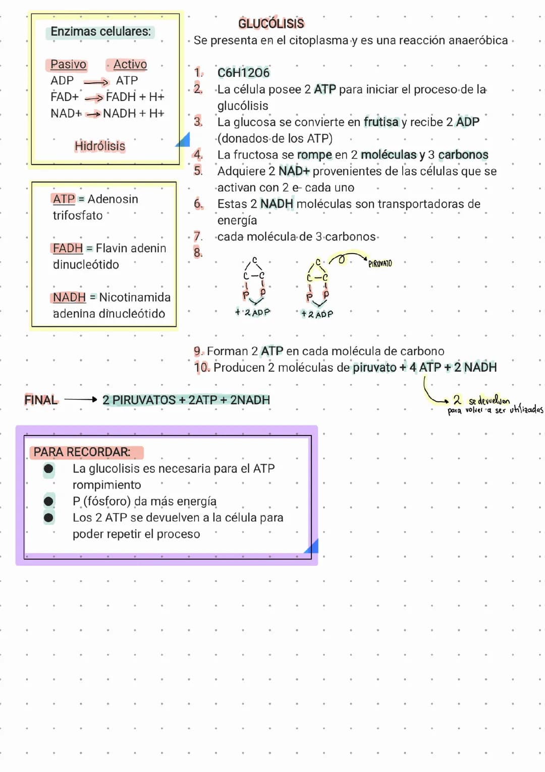 GLUCOLISIS 