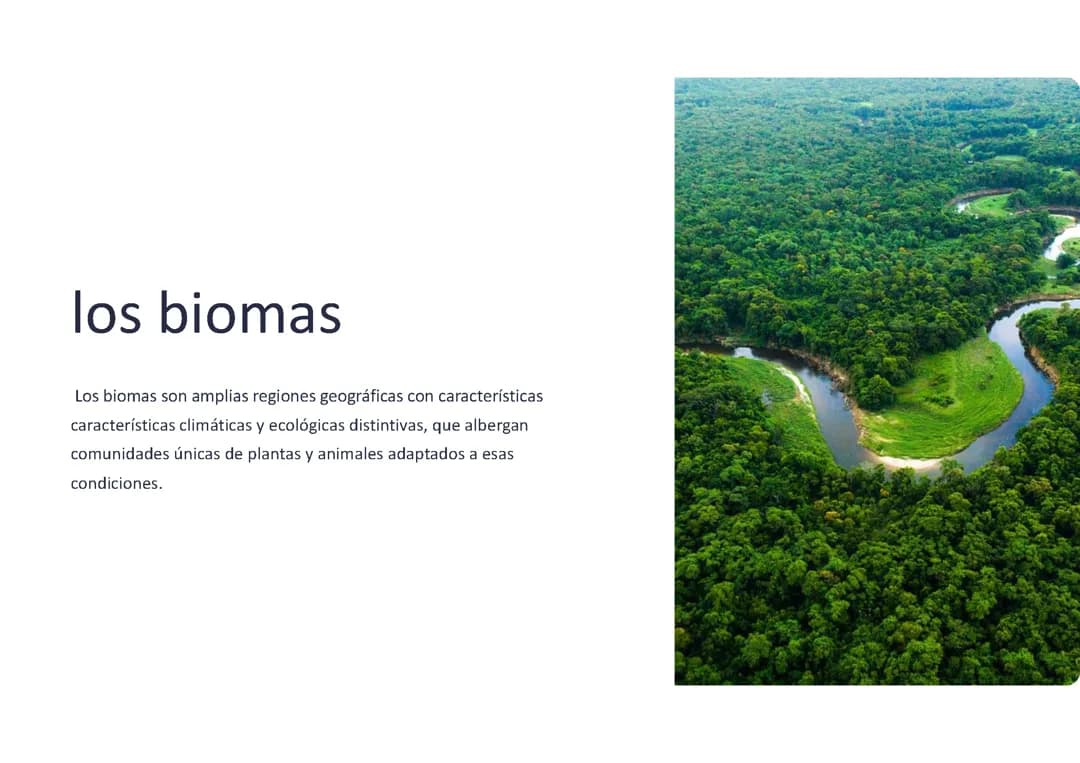 Biomas: 
