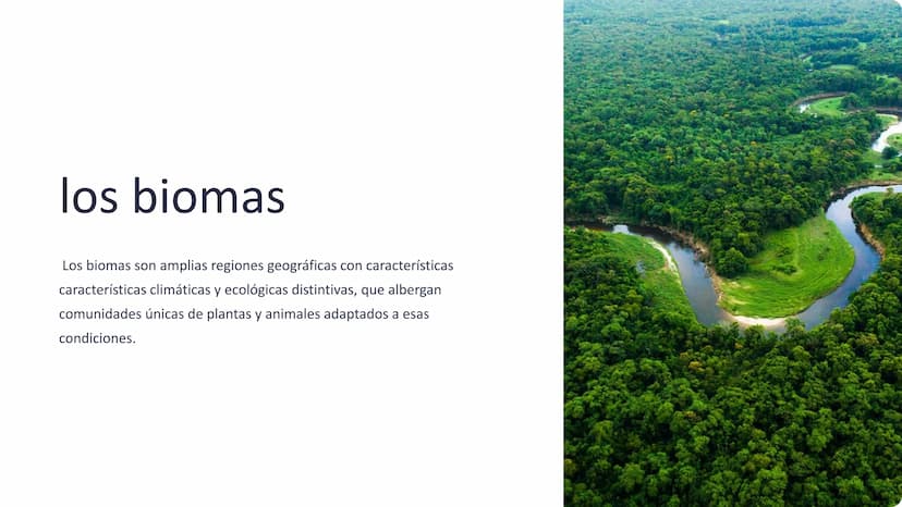 los biomas
Los biomas son amplias regiones geográficas con características
características climáticas y ecológicas distintivas, que albergan