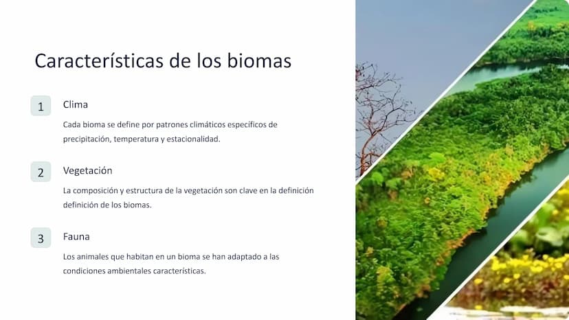 los biomas
Los biomas son amplias regiones geográficas con características
características climáticas y ecológicas distintivas, que albergan