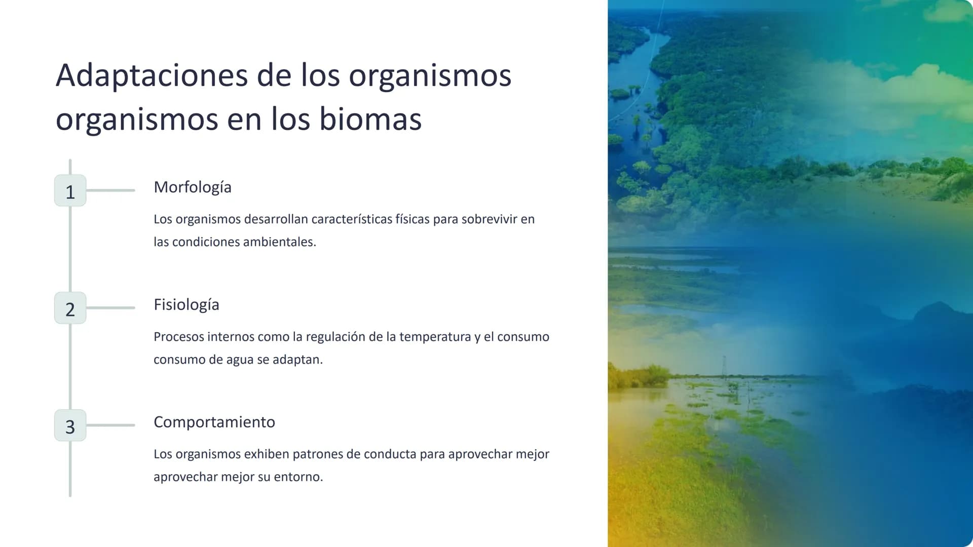 los biomas
Los biomas son amplias regiones geográficas con características
características climáticas y ecológicas distintivas, que albergan
