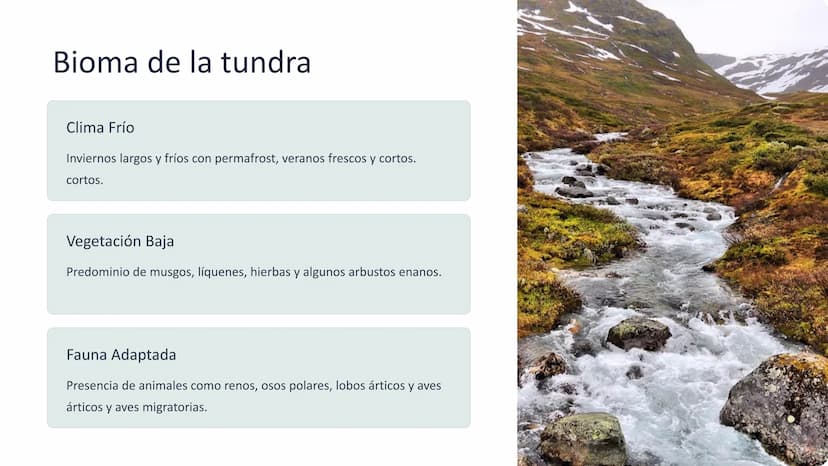 los biomas
Los biomas son amplias regiones geográficas con características
características climáticas y ecológicas distintivas, que albergan
