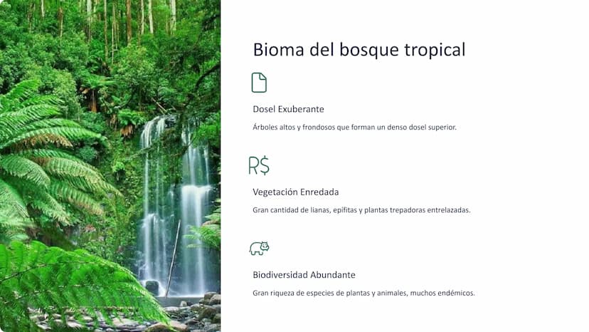 los biomas
Los biomas son amplias regiones geográficas con características
características climáticas y ecológicas distintivas, que albergan