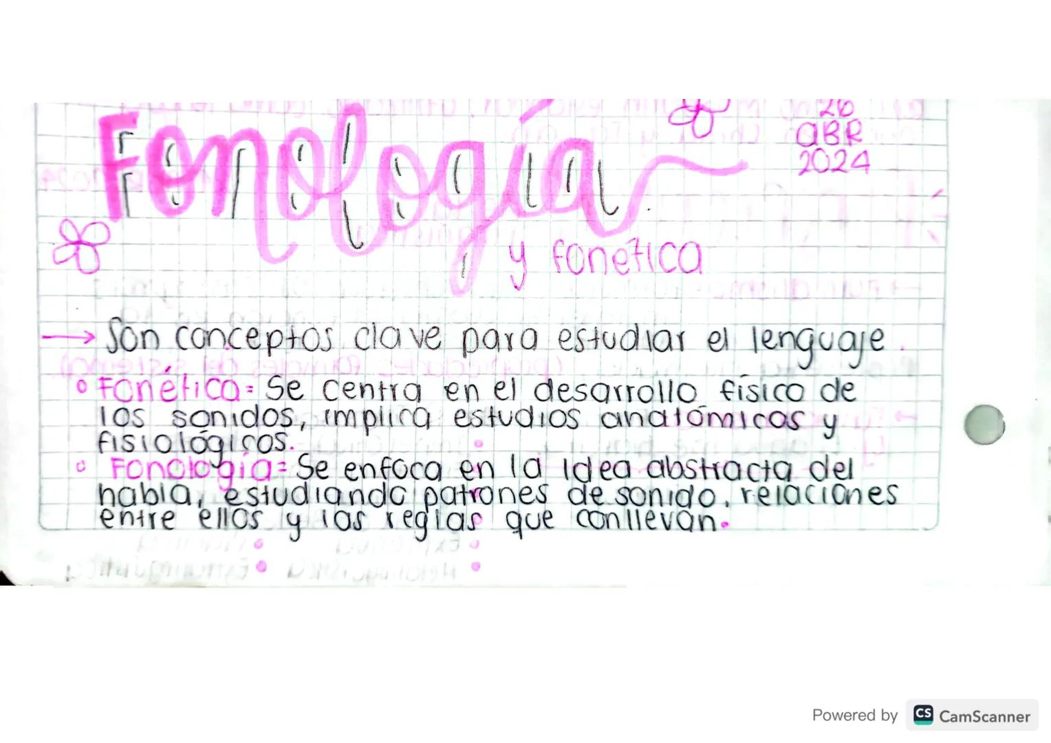 Fonologia
y fonetica
ABR
2024
→ Son conceptos clave para estudiar el lenguaje
C
• Fonético: Se centra en el desarrollo fisico de
los sonidos