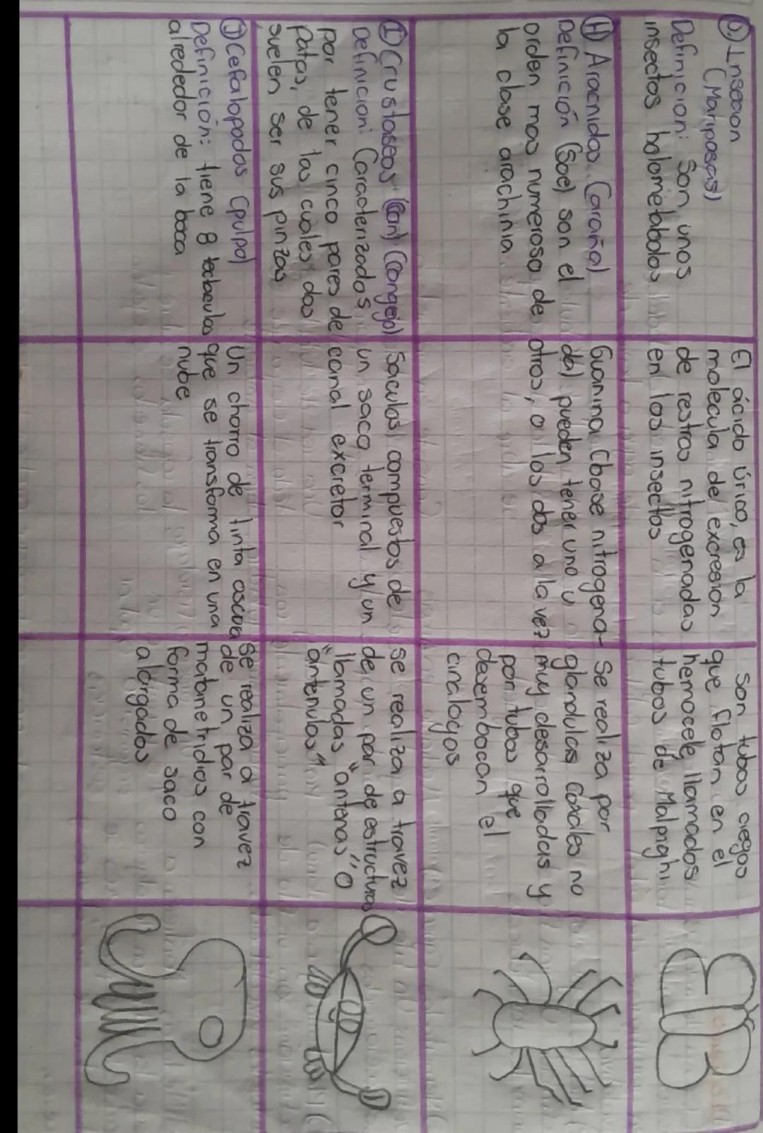 Plantas
Sistema
excleton
en
Se realiza
Permite
Se realiza
Sin utilizar
eliminar
organo
especializada
Dioxido de carbono CO²
Ongeno
Resinar
T