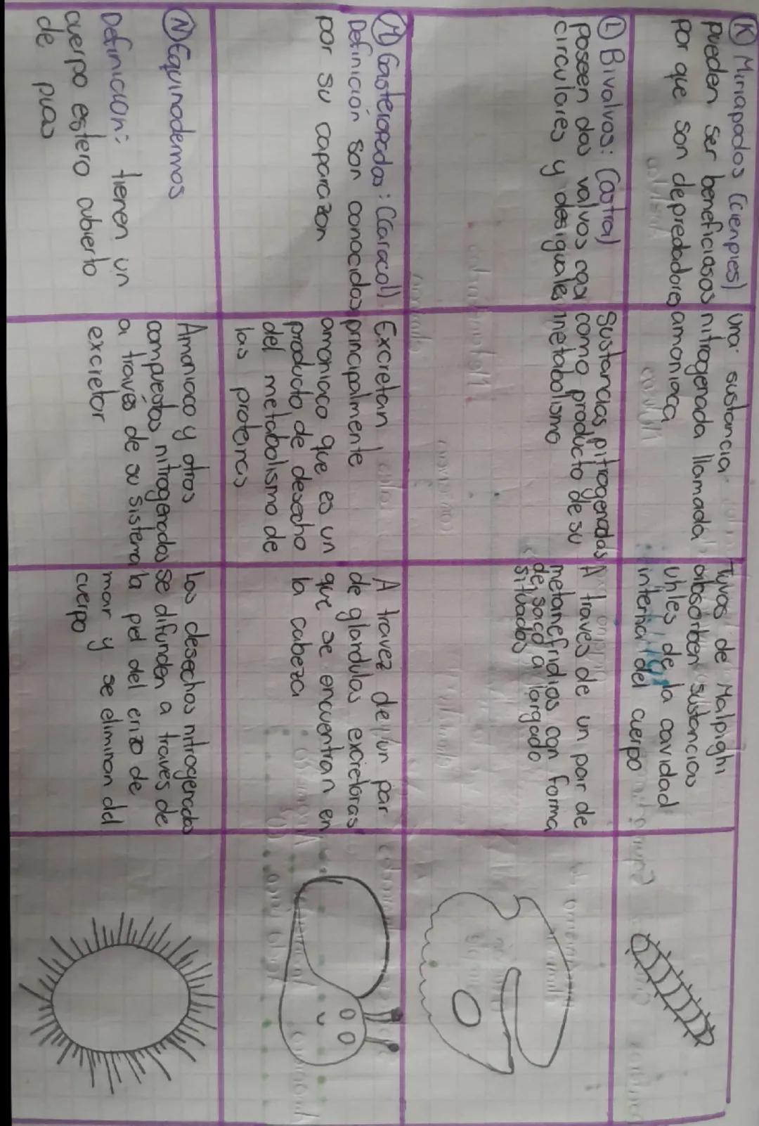 Plantas
Sistema
excleton
en
Se realiza
Permite
Se realiza
Sin utilizar
eliminar
organo
especializada
Dioxido de carbono CO²
Ongeno
Resinar
T