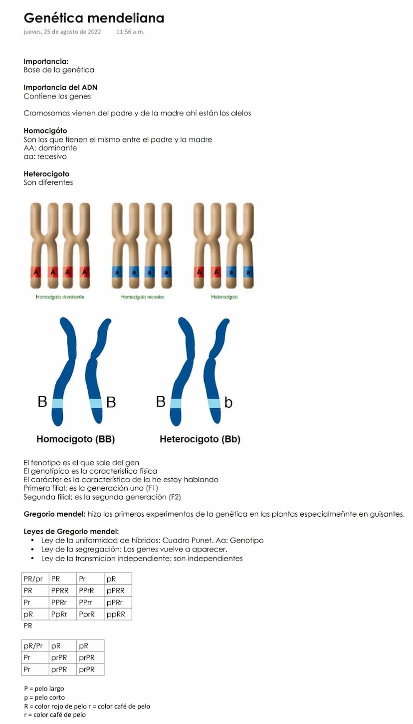 Genética mendeliana
jueves, 25 de agosto de 2022
11:56 a.m.
Importancia:
Base de la genética
Importancia del ADN
Contiene los genes
Cromosom