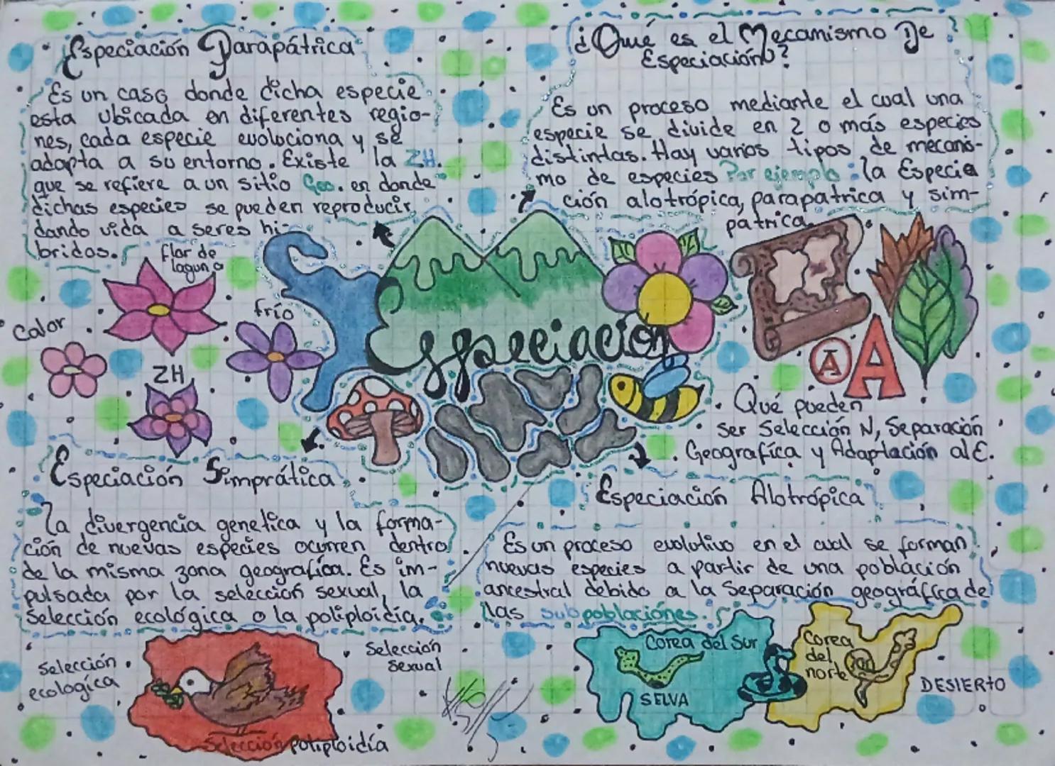 # Especiación Darapátrica

Es un caso donde dicha especie
esta ubicada en diferentes regio-
nes, cada especie evoluciona y se
adapta a su en