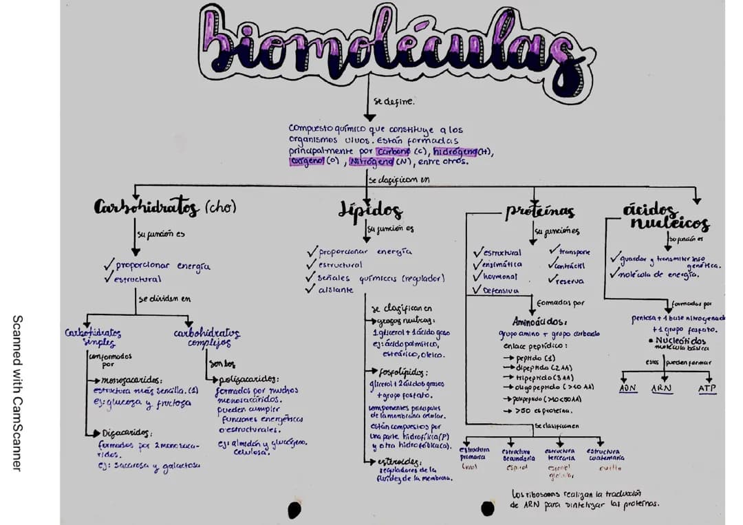 Quimica: biomoleculas 