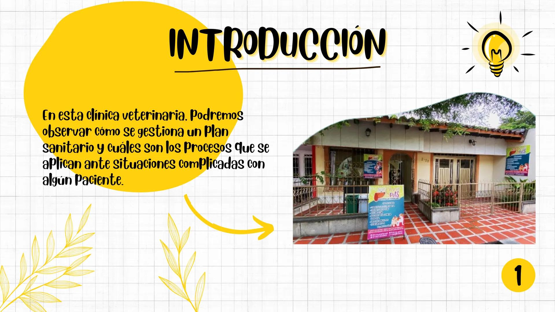 SHINY PETS
Spets
CENTRO VETERINARIO
SANDRA BARRIENTOS
MANUELA IDROBO
SMITH ESCOBAR
CENAL
CENTRO NACIONAL DE CAPACITACIÓN LABORAL INTRODUCCIÓ