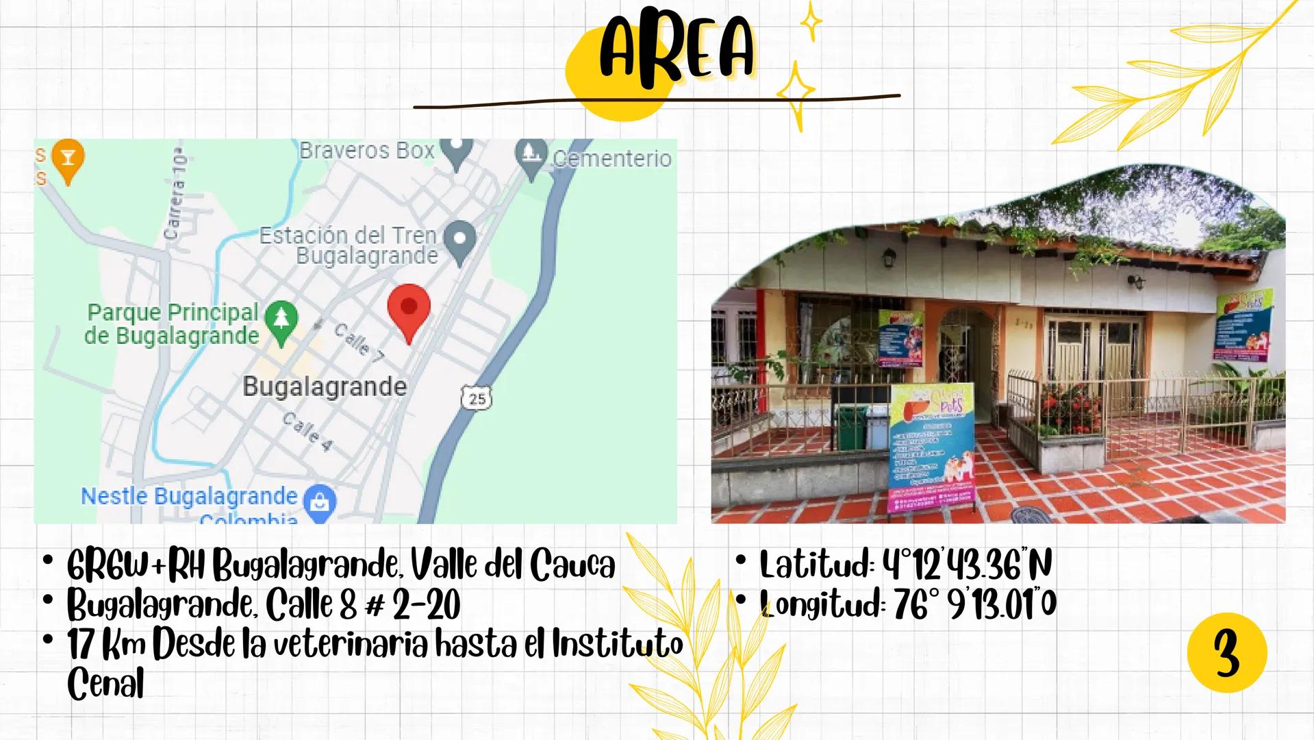 SHINY PETS
Spets
CENTRO VETERINARIO
SANDRA BARRIENTOS
MANUELA IDROBO
SMITH ESCOBAR
CENAL
CENTRO NACIONAL DE CAPACITACIÓN LABORAL INTRODUCCIÓ