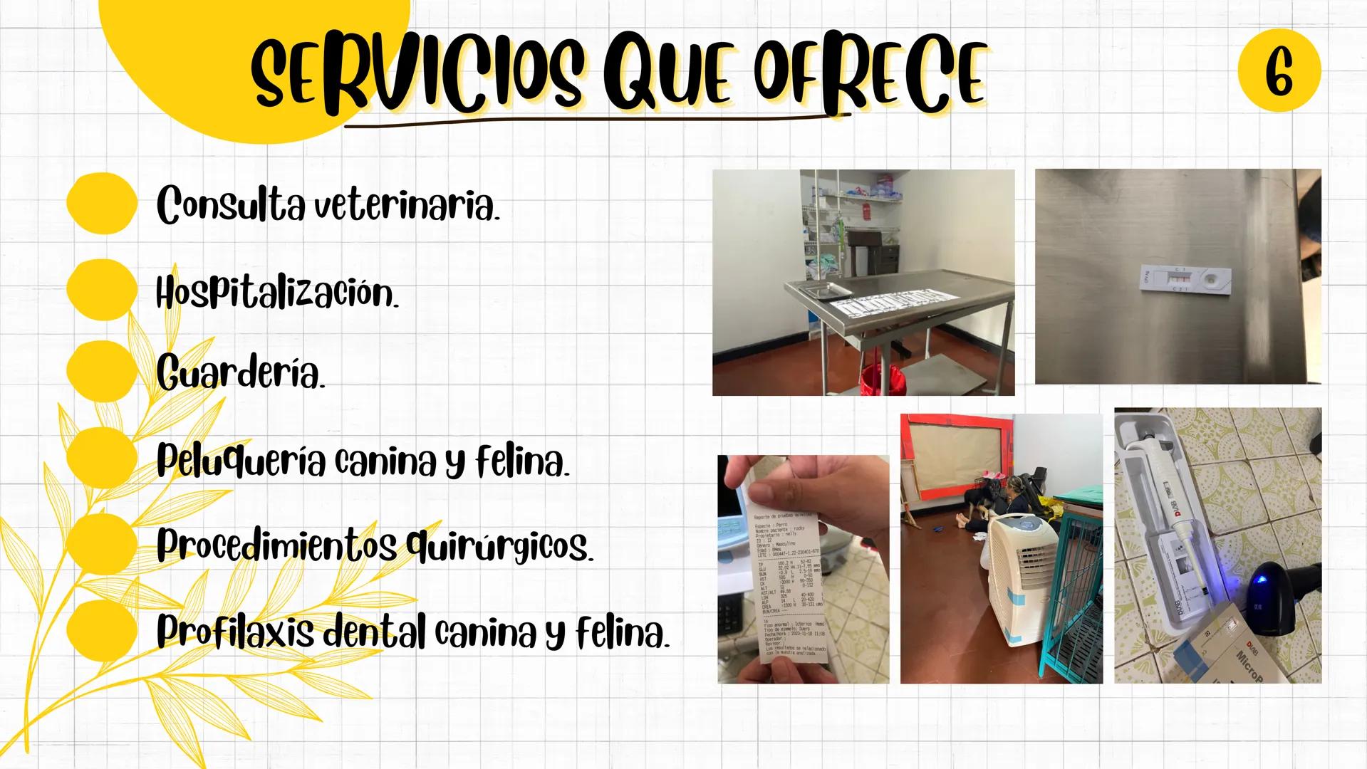SHINY PETS
Spets
CENTRO VETERINARIO
SANDRA BARRIENTOS
MANUELA IDROBO
SMITH ESCOBAR
CENAL
CENTRO NACIONAL DE CAPACITACIÓN LABORAL INTRODUCCIÓ