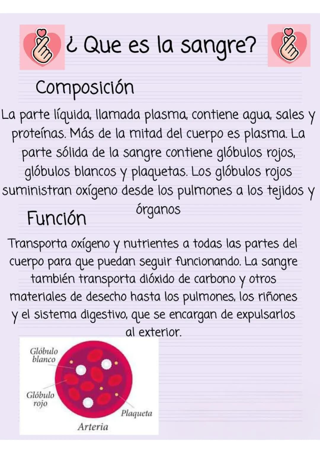 Que es la sangre 