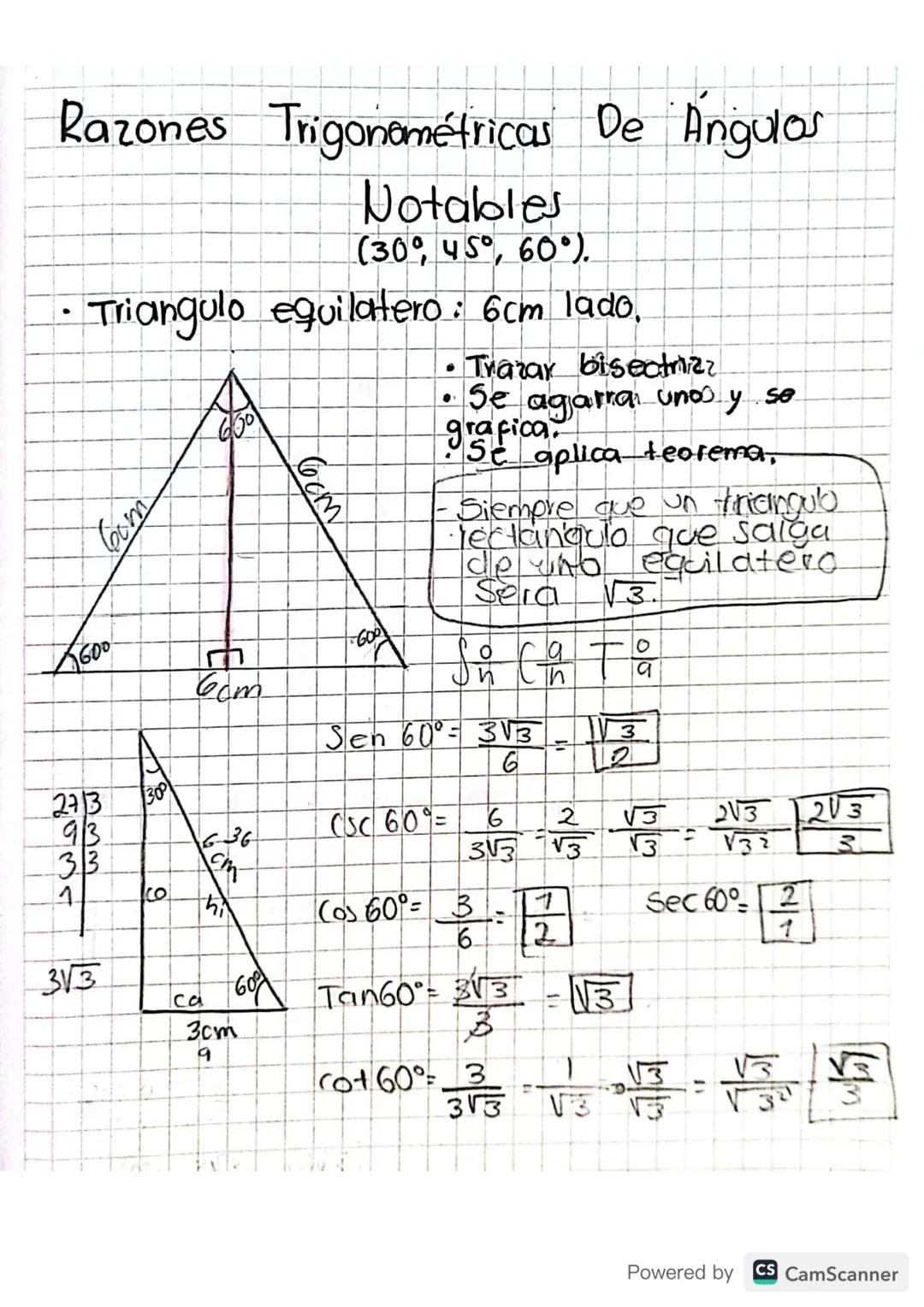 Trigonometria: Razones trigonometricas en triangulos notables