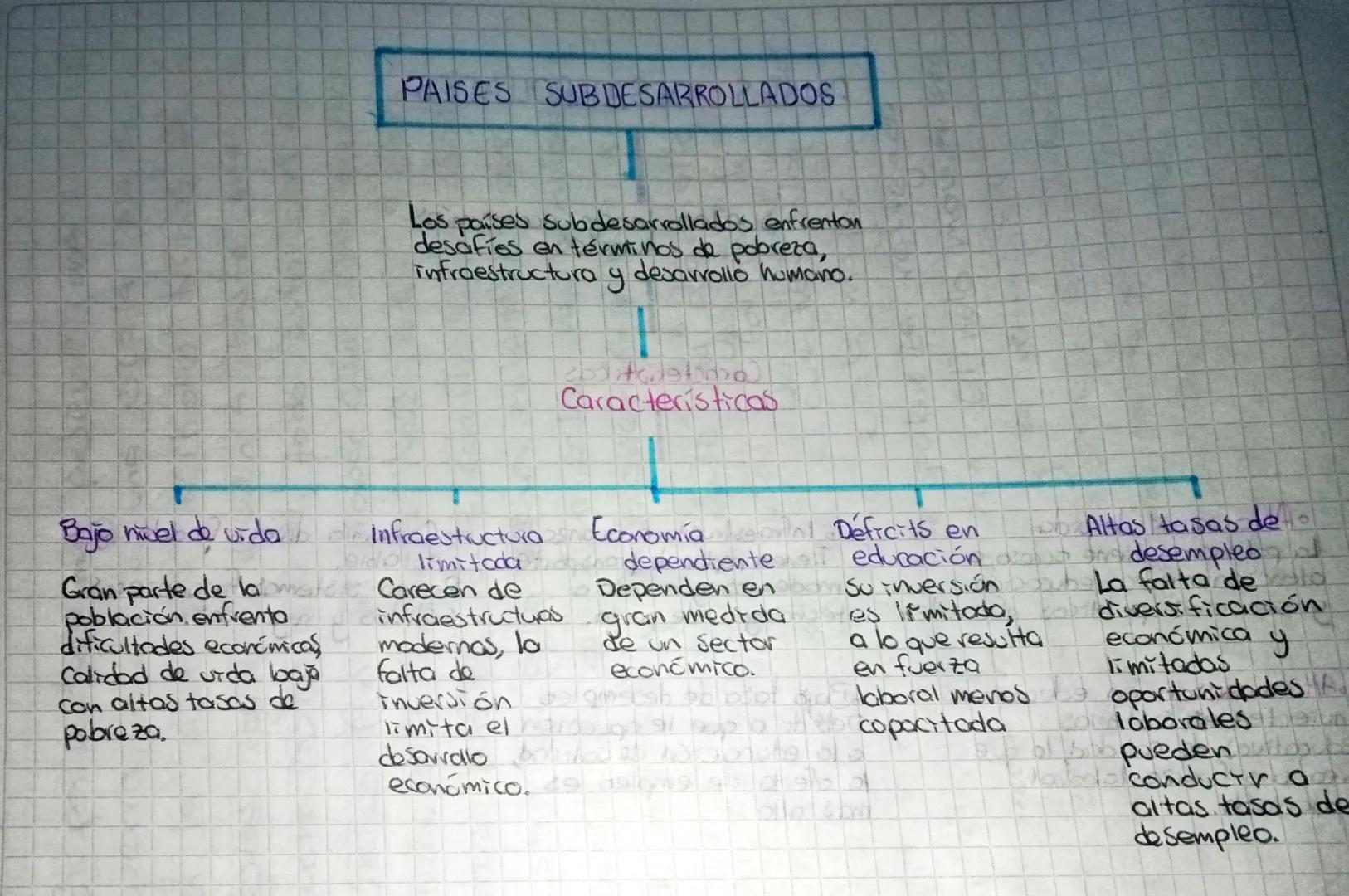 PAISES SUBDESARROLLADOS
Los países subdesarrollados enfrenton
desafios en términos de pobreza,
infraestructura y desarrollo humano.
Caracter