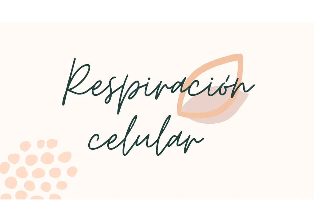 Respiración Celular