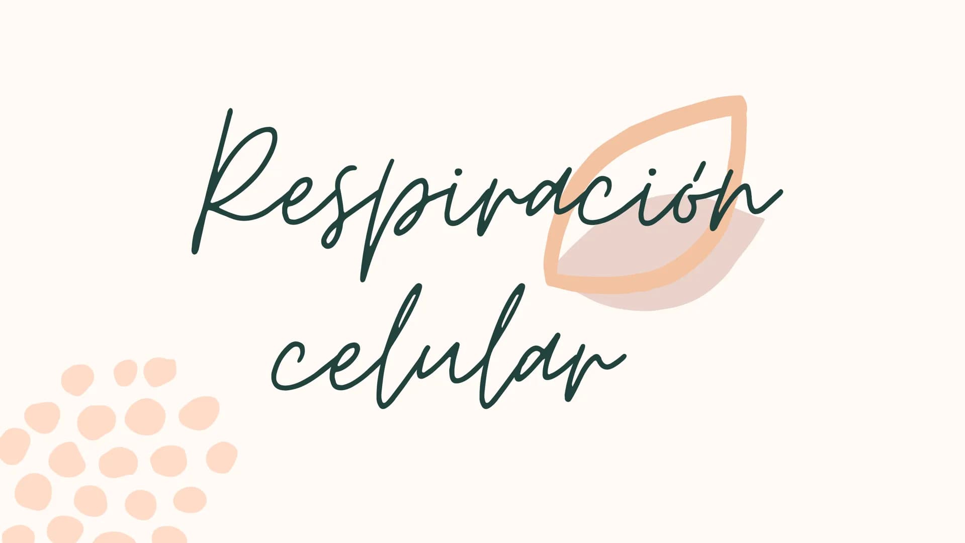 Respiracion
celular Oxígeno
Dióxido de
carbono
Azúcares
y
otras
moléculas
orgánicas
Célula
Energía química
en forma de
ATP
Agua REACCIONES
D