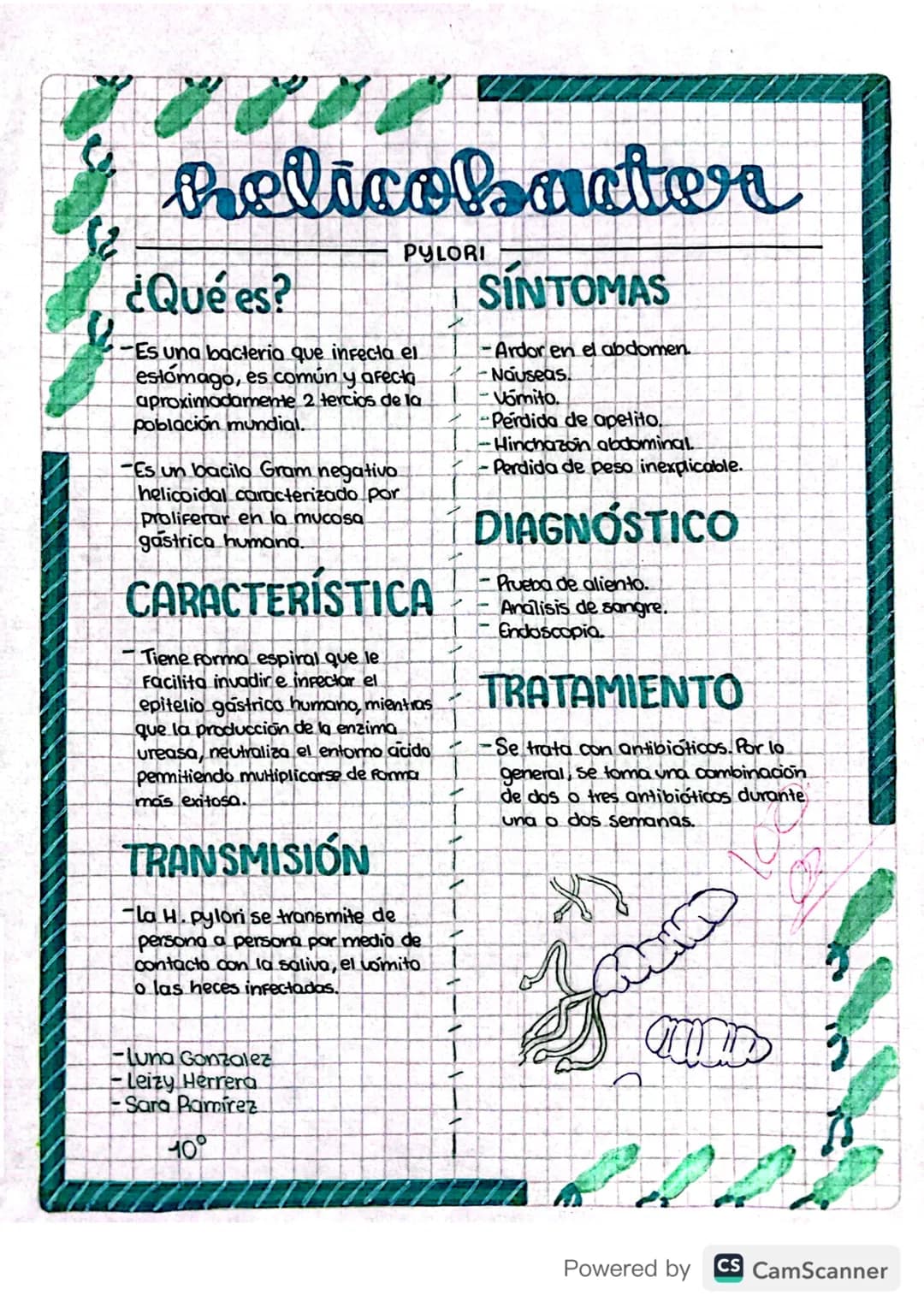 Helicobacter Pylori