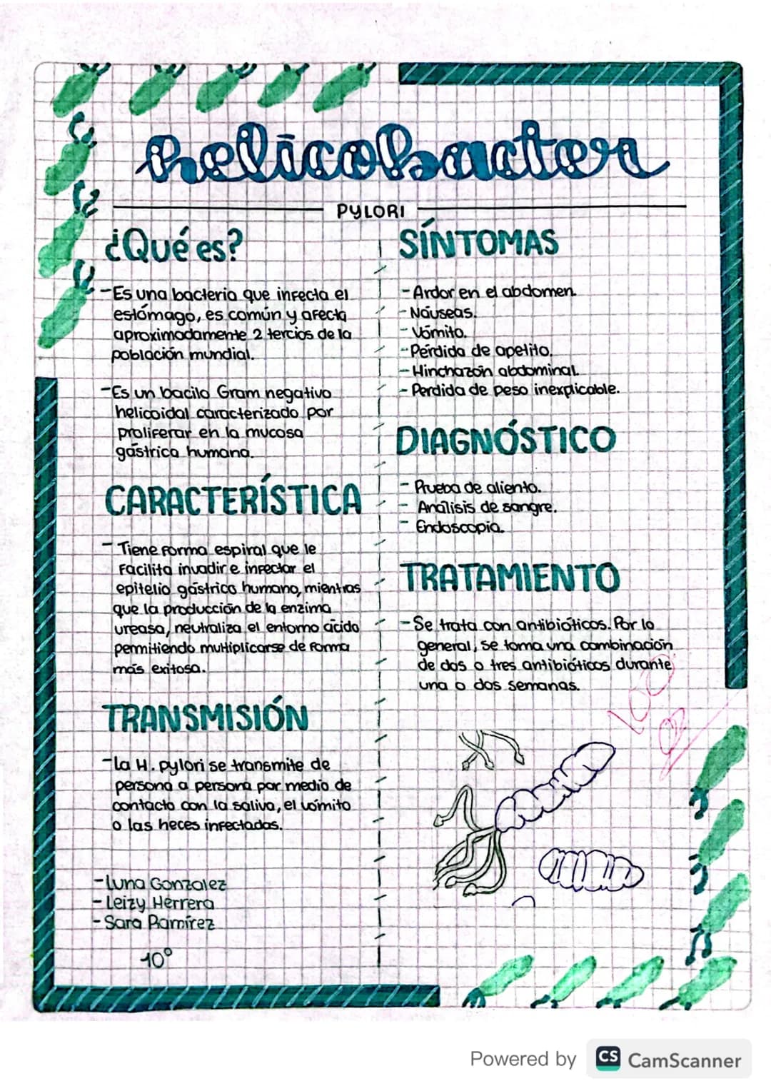 12
helicobacter
¿Qué es?
PYLORI
Es una bacteria que infecta el
estómago, es común y afecta
aproximadamente 2 tercios de la
población mundial