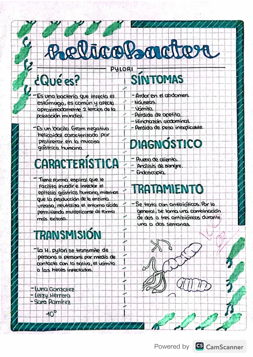 12
helicobacter
¿Qué es?
PYLORI
Es una bacteria que infecta el
estómago, es común y afecta
aproximadamente 2 tercios de la
población mundial