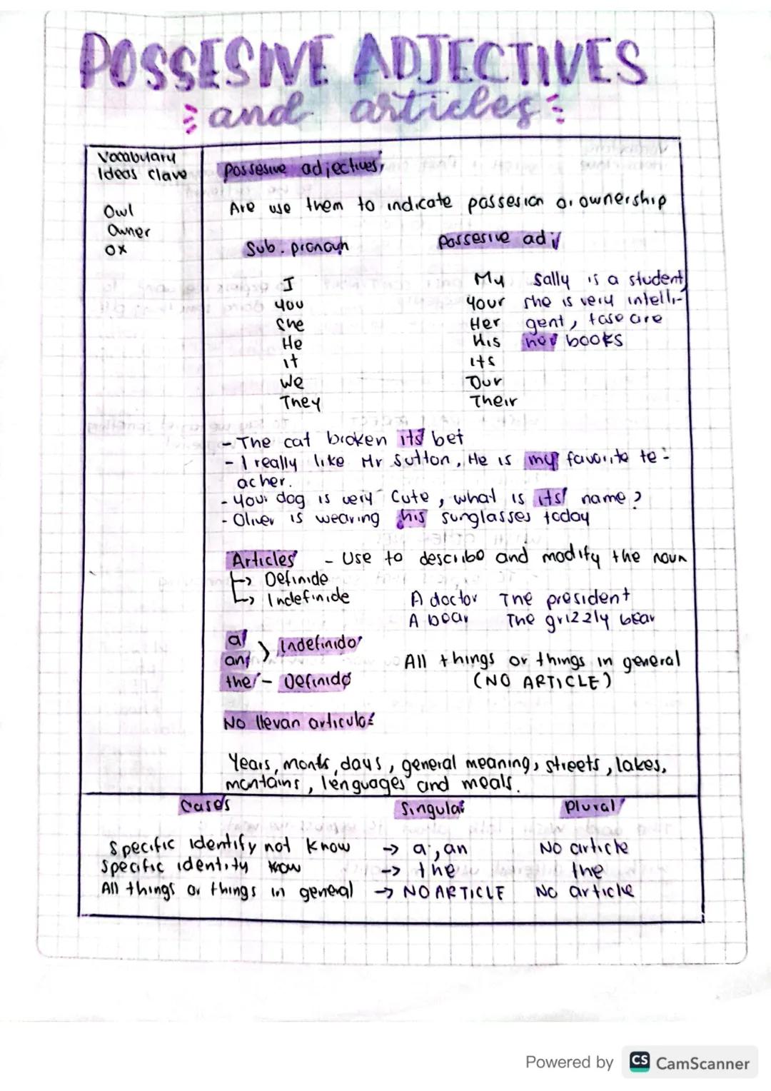 POSSESSIVE ADJECTIVES