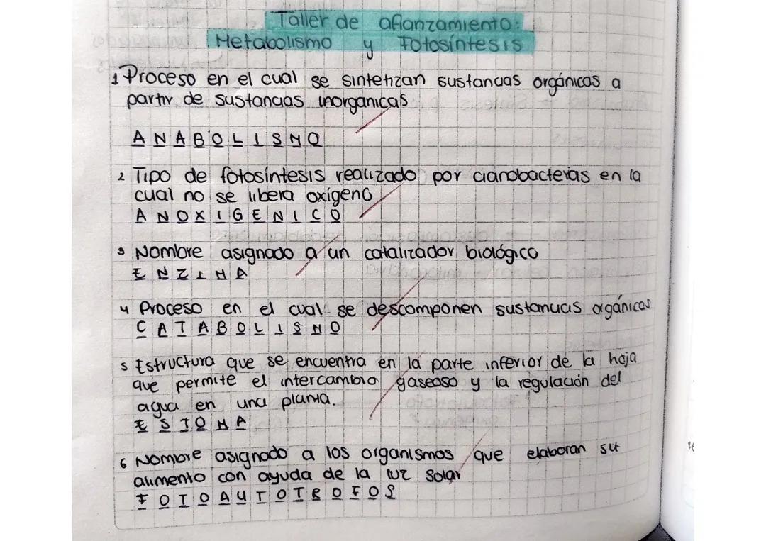 Taller sobre metabolismo y fotosíntesis 