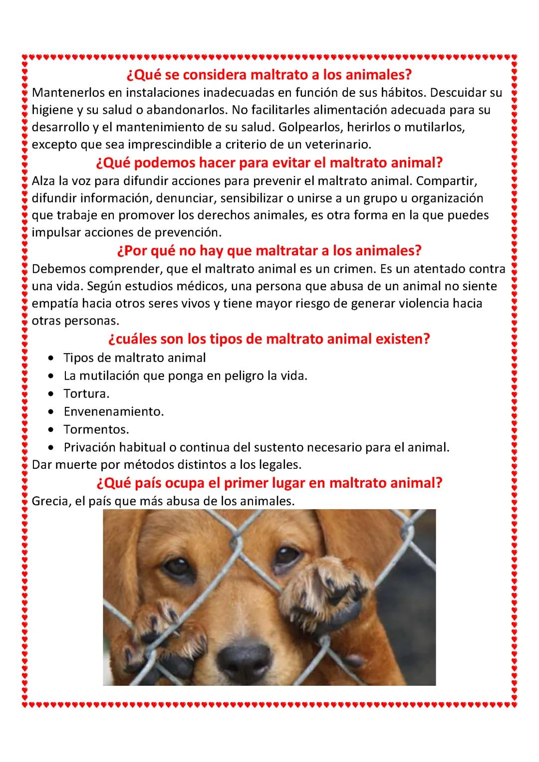 No al maltrato animal 