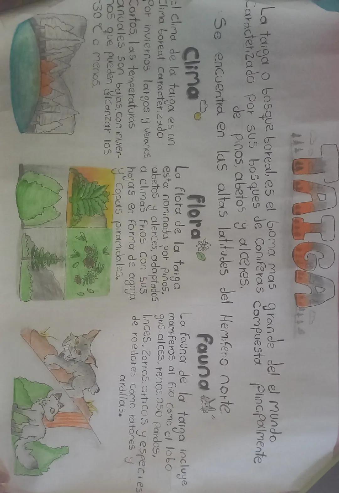 TAIGA

La taiga o bosque boreal, es el bioma mas grande del el mundo
Caracterizado por sus bosques de coniferas compuesta principalmente
de 