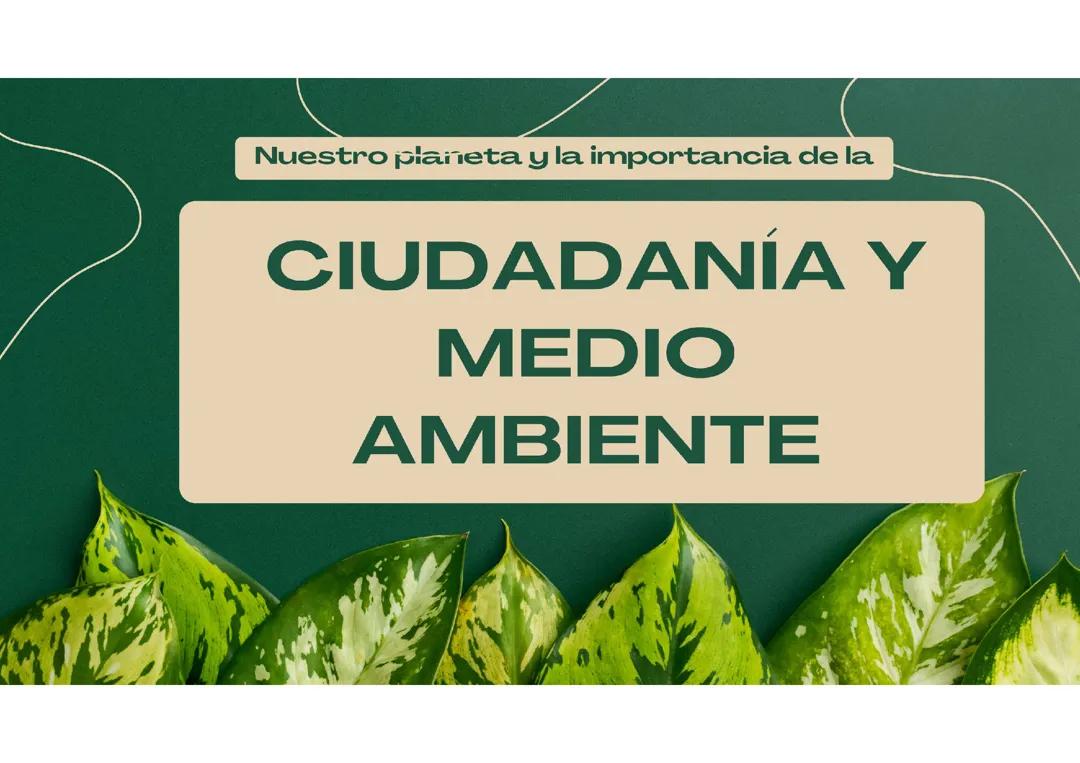 Importancia del cuidado ambiental y nuestra responsabilidad