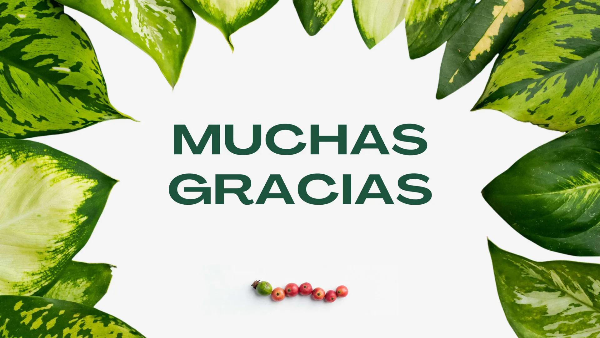 Nuestro planeta y la importancia de la
CIUDADANÍA Y
MEDIO
AMBIENTE ÍNDICE
01. Introducción.
02. Integrantes.
03. ¿Que es?.
04. Componentes.
