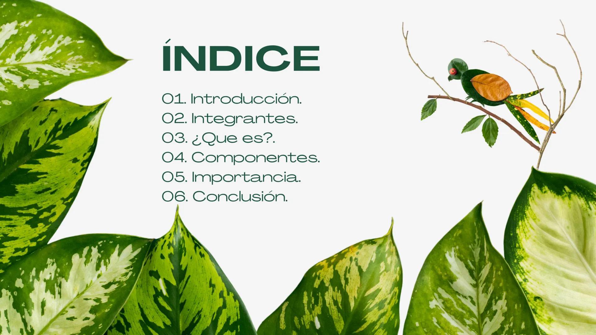 Nuestro planeta y la importancia de la
CIUDADANÍA Y
MEDIO
AMBIENTE ÍNDICE
01. Introducción.
02. Integrantes.
03. ¿Que es?.
04. Componentes.
