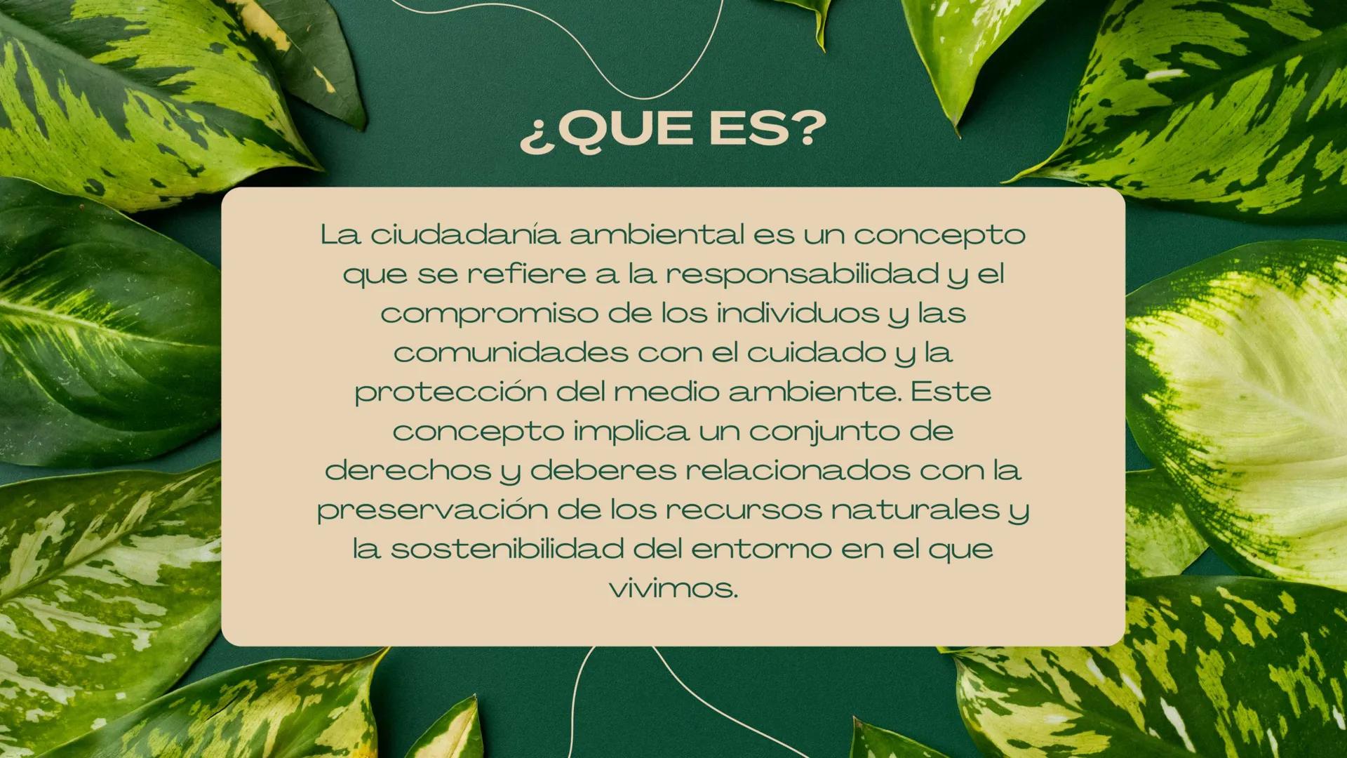 Nuestro planeta y la importancia de la
CIUDADANÍA Y
MEDIO
AMBIENTE ÍNDICE
01. Introducción.
02. Integrantes.
03. ¿Que es?.
04. Componentes.
