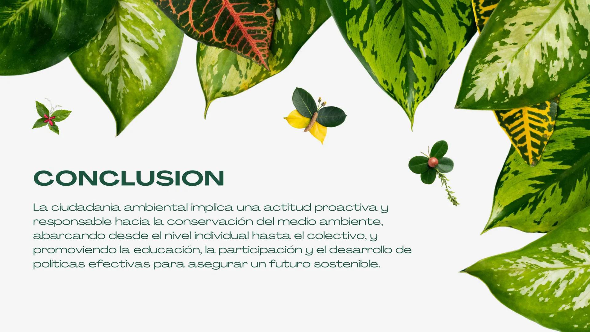Nuestro planeta y la importancia de la
CIUDADANÍA Y
MEDIO
AMBIENTE ÍNDICE
01. Introducción.
02. Integrantes.
03. ¿Que es?.
04. Componentes.
