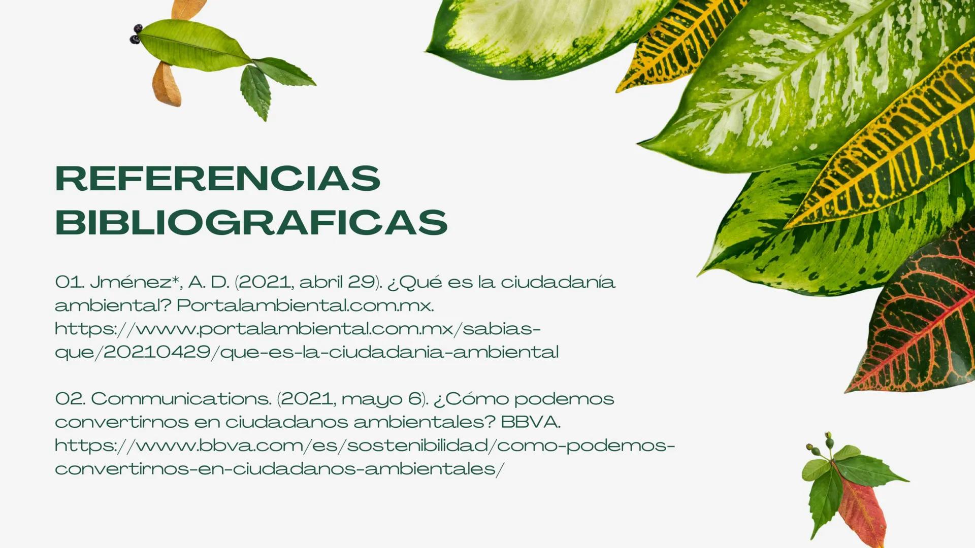 Nuestro planeta y la importancia de la
CIUDADANÍA Y
MEDIO
AMBIENTE ÍNDICE
01. Introducción.
02. Integrantes.
03. ¿Que es?.
04. Componentes.
