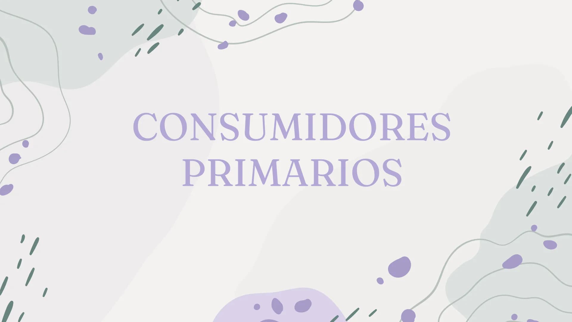 CONSUMIDORES
PRIMARIOS 01
¿Qué son?
04
Acerca de los
consumidores
Índice
02
03
Características
Ejemplos
05
preguntas ¿Qué son?
Los consumido