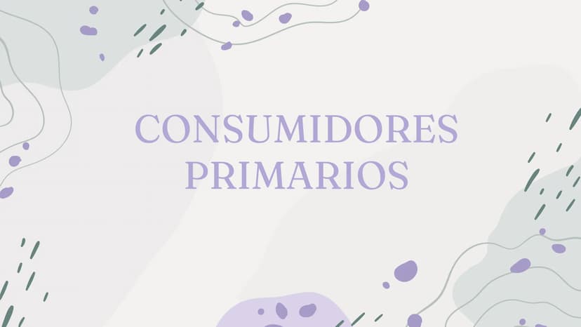 CONSUMIDORES
PRIMARIOS 01
¿Qué son?
04
Acerca de los
consumidores
Índice
02
03
Características
Ejemplos
05
preguntas ¿Qué son?
Los consumido
