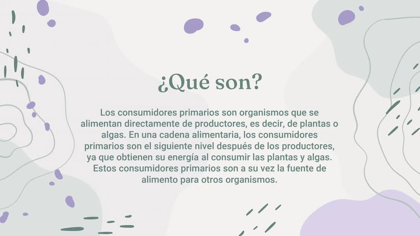CONSUMIDORES
PRIMARIOS 01
¿Qué son?
04
Acerca de los
consumidores
Índice
02
03
Características
Ejemplos
05
preguntas ¿Qué son?
Los consumido