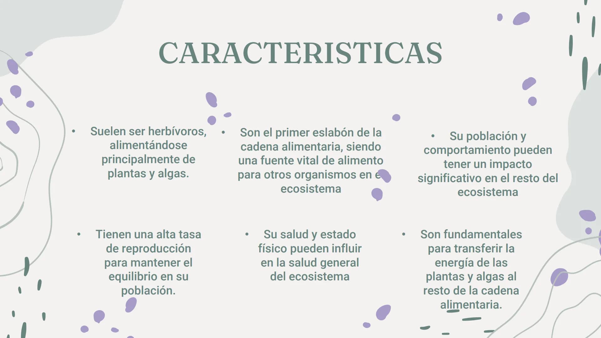CONSUMIDORES
PRIMARIOS 01
¿Qué son?
04
Acerca de los
consumidores
Índice
02
03
Características
Ejemplos
05
preguntas ¿Qué son?
Los consumido