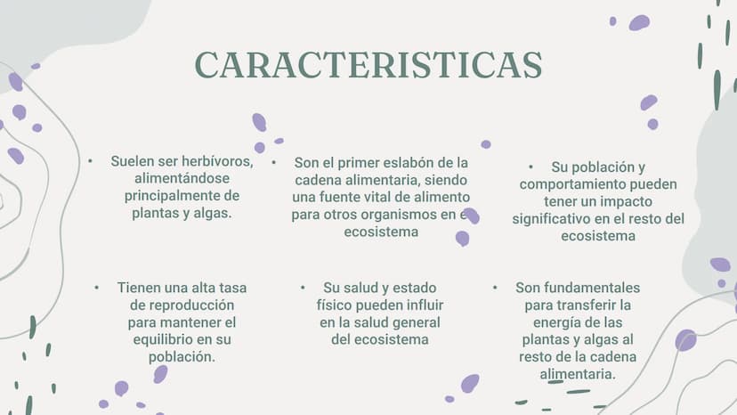 CONSUMIDORES
PRIMARIOS 01
¿Qué son?
04
Acerca de los
consumidores
Índice
02
03
Características
Ejemplos
05
preguntas ¿Qué son?
Los consumido