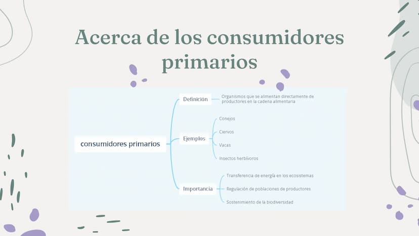 CONSUMIDORES
PRIMARIOS 01
¿Qué son?
04
Acerca de los
consumidores
Índice
02
03
Características
Ejemplos
05
preguntas ¿Qué son?
Los consumido