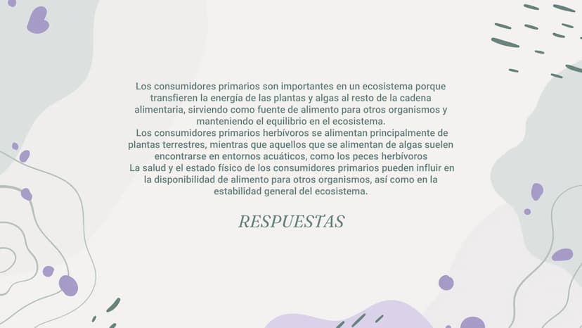 CONSUMIDORES
PRIMARIOS 01
¿Qué son?
04
Acerca de los
consumidores
Índice
02
03
Características
Ejemplos
05
preguntas ¿Qué son?
Los consumido