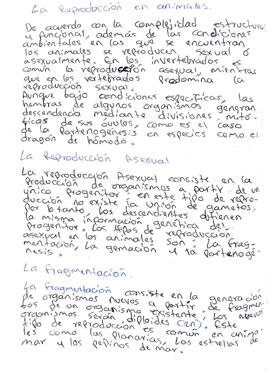 La reproducción en animales