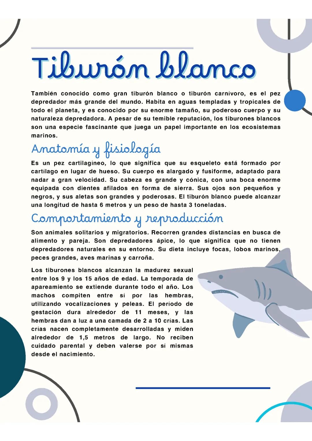 Tiburón blanco