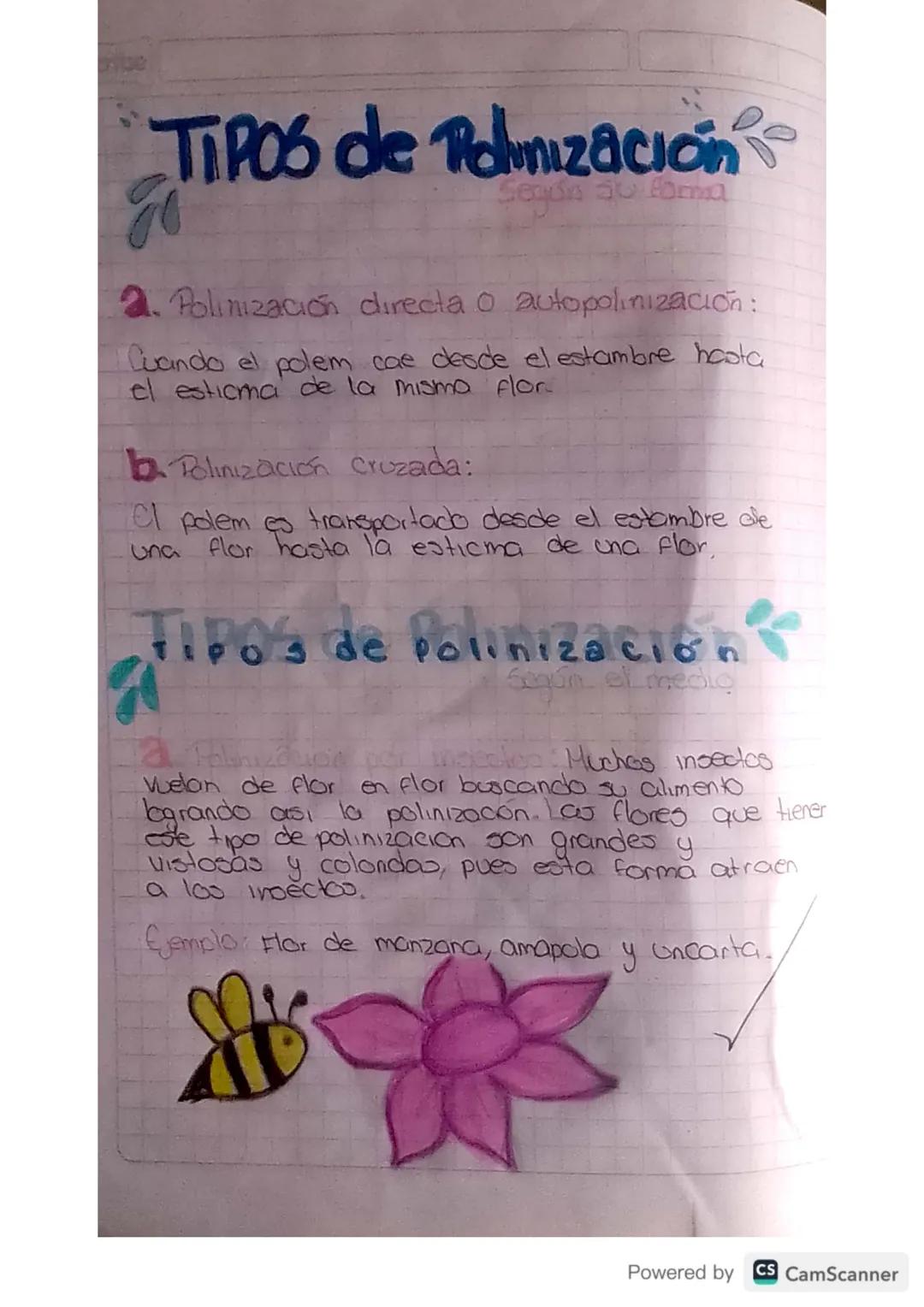 LA
PO
Z
Scribe
ACIÓN
Flor
Polización
Embrion
T
Nueva
Planta
990
Hojitas
Plantula
Grano de
Polen
Tubo
Polinico
Ovario
Embrion
Ovolo
Powered b