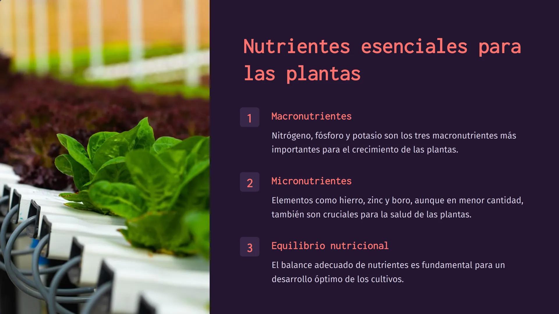 amy
alamy
a
a
alamy
ala
Química del suelo:
Composición, nutrientes,
fertilizantes, pesticidas
Exploraremos los diversos aspectos de la quími
