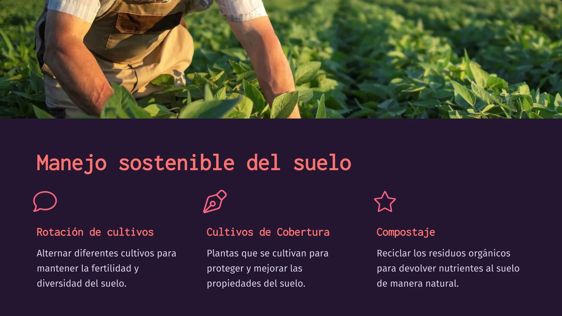 amy
alamy
a
a
alamy
ala
Química del suelo:
Composición, nutrientes,
fertilizantes, pesticidas
Exploraremos los diversos aspectos de la quími