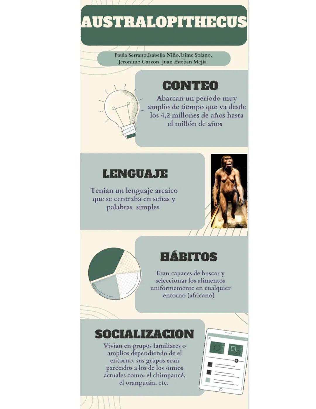 AUSTRALOPITHECUS
Paula Serrano, Isabella Niño, Jaime Solano,
Jeronimo Garzon, Juan Esteban Mejía
CONTEO
Abarcan un período muy
amplio de tie