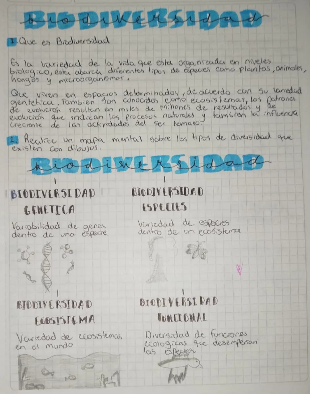 BIODIVERSIDAD
Que es Biodiversidad
Es la variedad de la vida que esta organizada en niveles
biologico, esta abarca diferentes tipos de espec